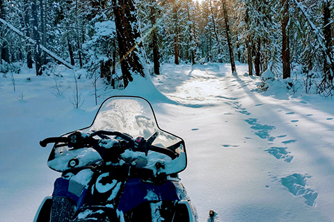 Enjoy a snowmobile tour with Bobcat Pass Wilderness Adventures in Embudo, New Mexico, which guests staying at Xplorie participating properties can enjoy for free.