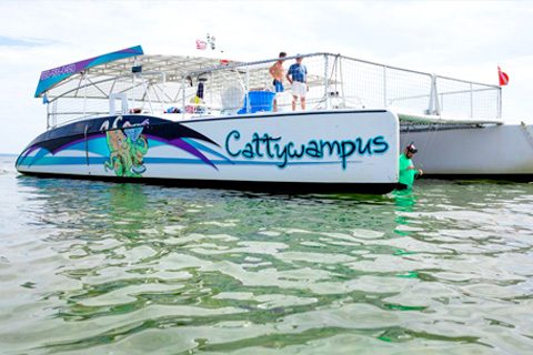 Passengers enjoy a free afternoon dolphin cruise aboard the Cattywampus in Fort Walton Beach, Florida, which is available for free to guests staying at Xplorie participating properties.