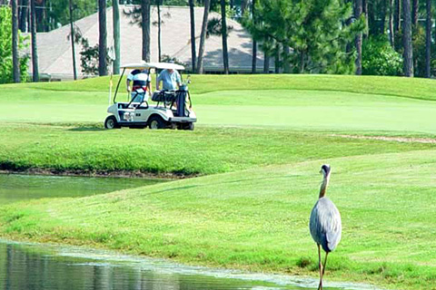 People in a golf cart traveling along the beautifully green Golf Garden course in Destin, Florida. Enjoy a free round of golf there when staying at Xplorie participating properties.