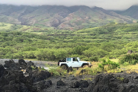 Experience Maaui in a new way on the Volcanoes of Maui Tour from Hoaloha Jeep Tours in  Kahului, Hawaii, where guests staying at Xplorie participating properties can enjoy a free admission.