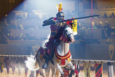 Have a jousting good time at Medieval Times in Myrtle Beach, South Carolina, where Xplorie participating properties offer free admission.