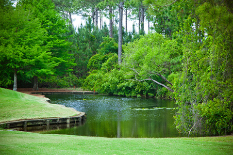 Calm lake at the lushly green course at Santa Rosa Golf & Beach Club, located in Santa Rosa Beach Florida, where guests staying at Xplorie participating properties can golf for free.