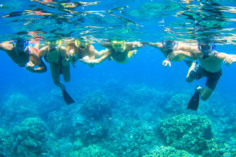 Enjoy the Lanai Snorkel Adventure from Teralani Sailing Adventure, in Lahaina, Hawaii, where guests staying at Xplorie participating properties can enjoy a free admission.