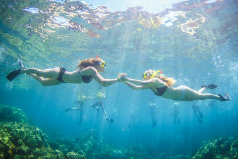 Enjoy the Premier Snorkel Adventure from Teralani Sailing Adventure, in Lahaina, Hawaii, where guests staying at Xplorie participating properties can enjoy a free admission.