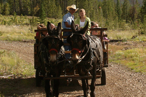 Enjoy a chuck wagon dinner ride and wild west show from Two Below Zero in Frisco, Colorado, which is available for free at Xplorie participating properties.
