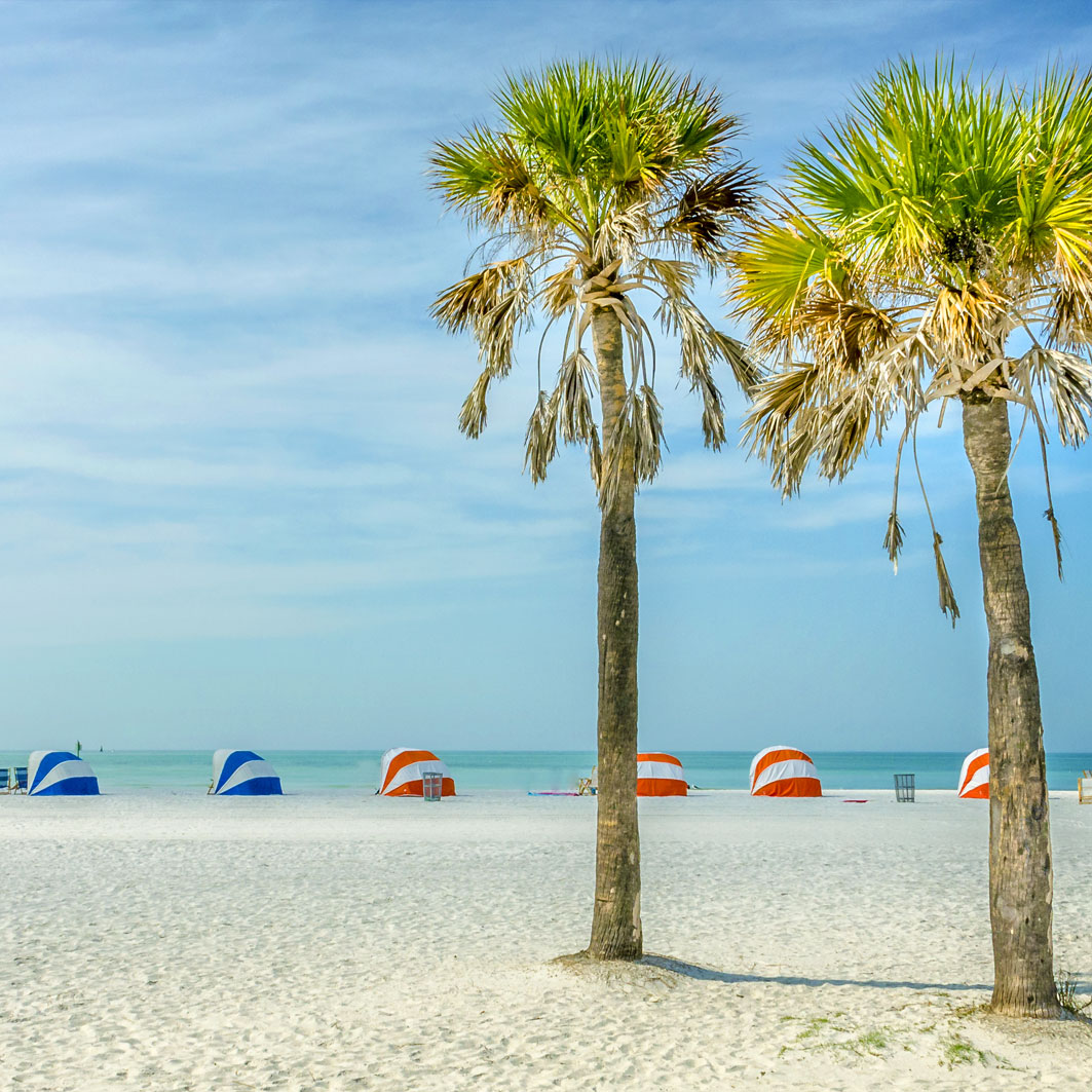Beach-with-Palm-trees