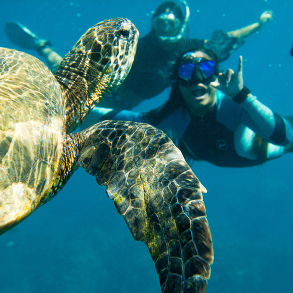 Scuba Diving with Trident Adventures