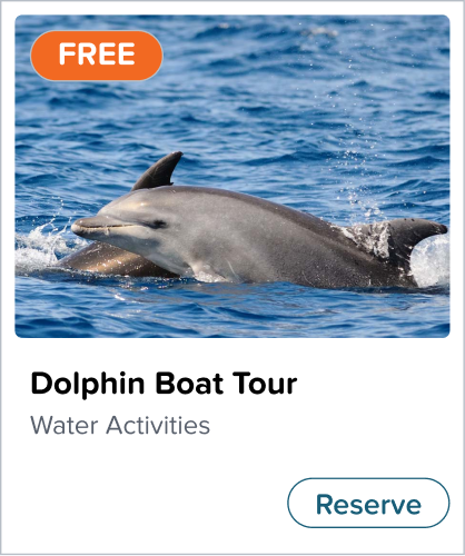 Dolphin Boat Card