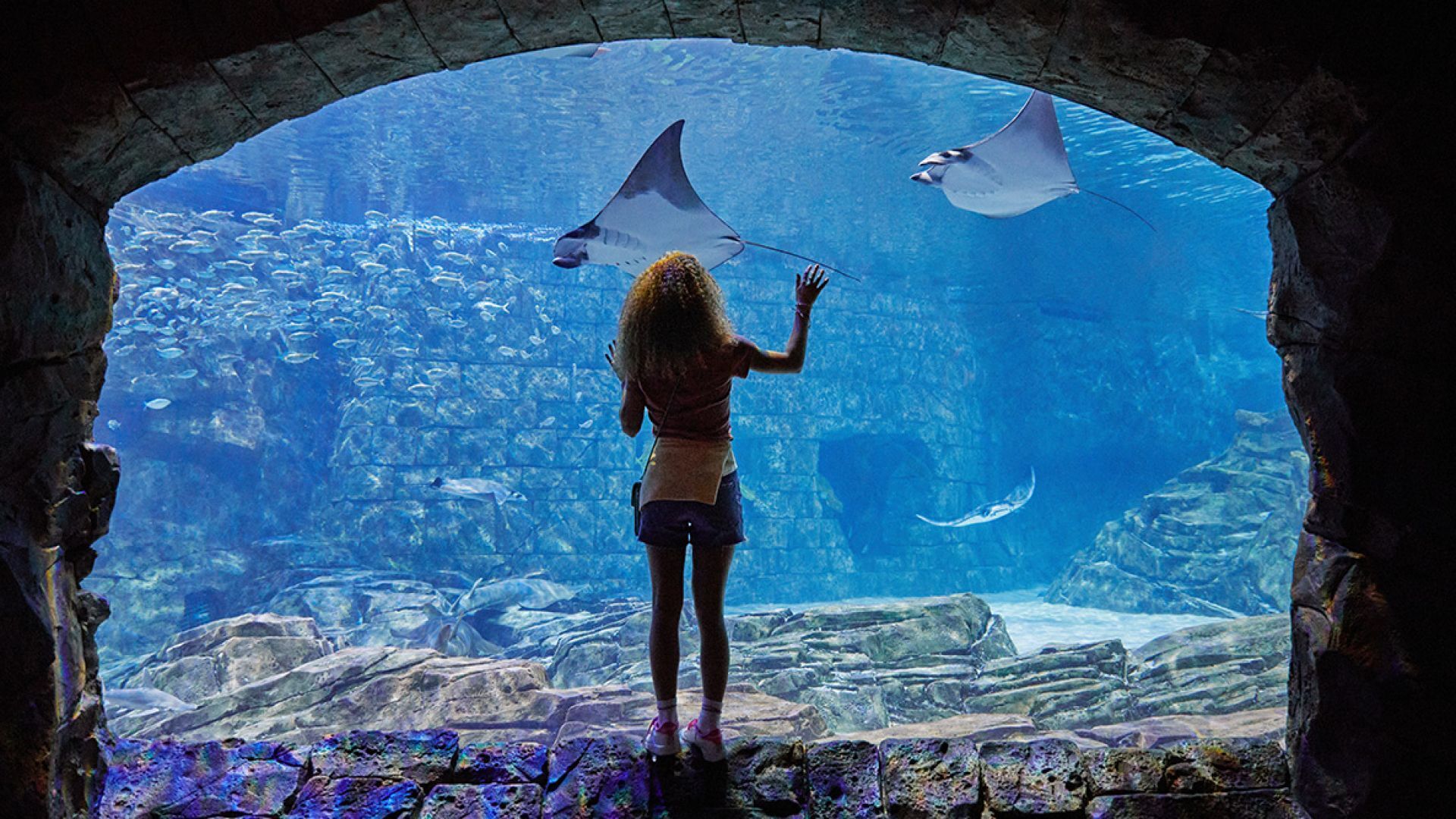 Sea World